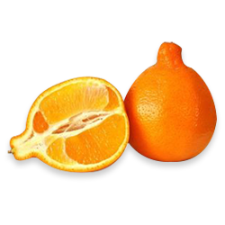 L'Orange (Nafil) برتقال (نافل)