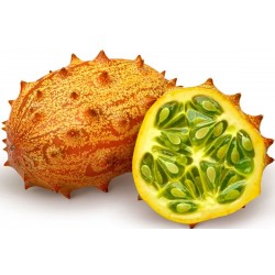 Le Kiwano كيوانو