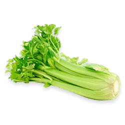 Le Celeri