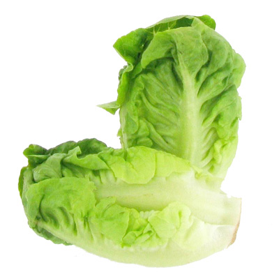 La Laitue Verte خس أخضر