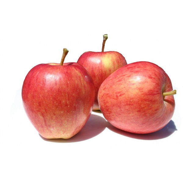 La Pomme Golden Rouge Import  تفاح الجولدن للعصير