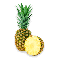 L'Ananas أناناس