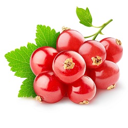La Groseille الكشمش