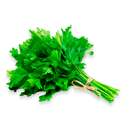 Le Persil