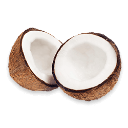 La Noix de Coco جوز الهند