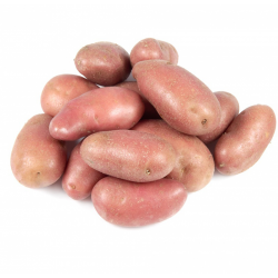 La Pomme de Terre Rouge