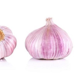L'Ail violet ثوم بنفسجي