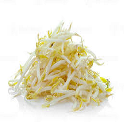 Le Germe de Soja