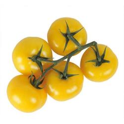 La Tomate Cerise Jaune طماطم كرزية صفراء