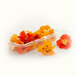 Les Fleurs Comestibles